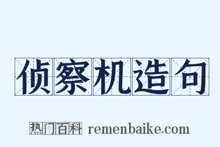 侦察机造句是什么意思的图片